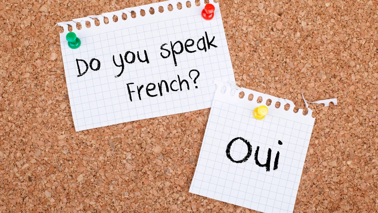 Make Your Career After Learning French In Mumbai