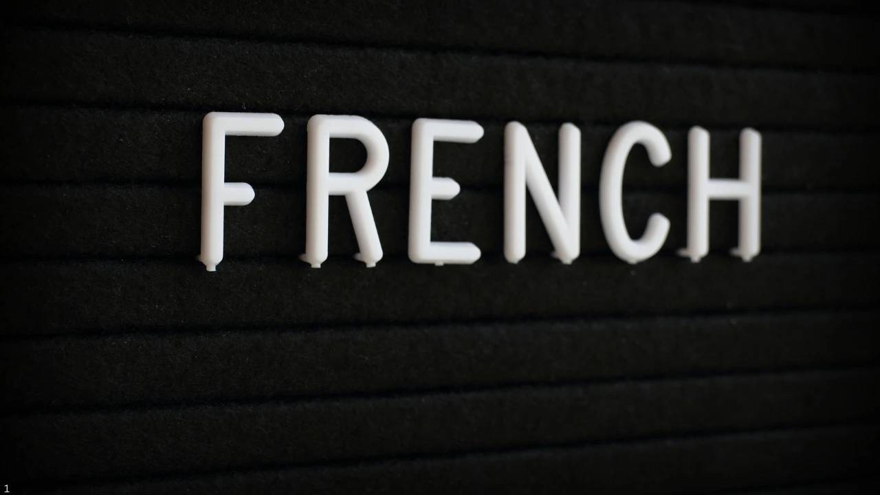 The Importance of French Language